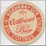 cottverein (33).jpg